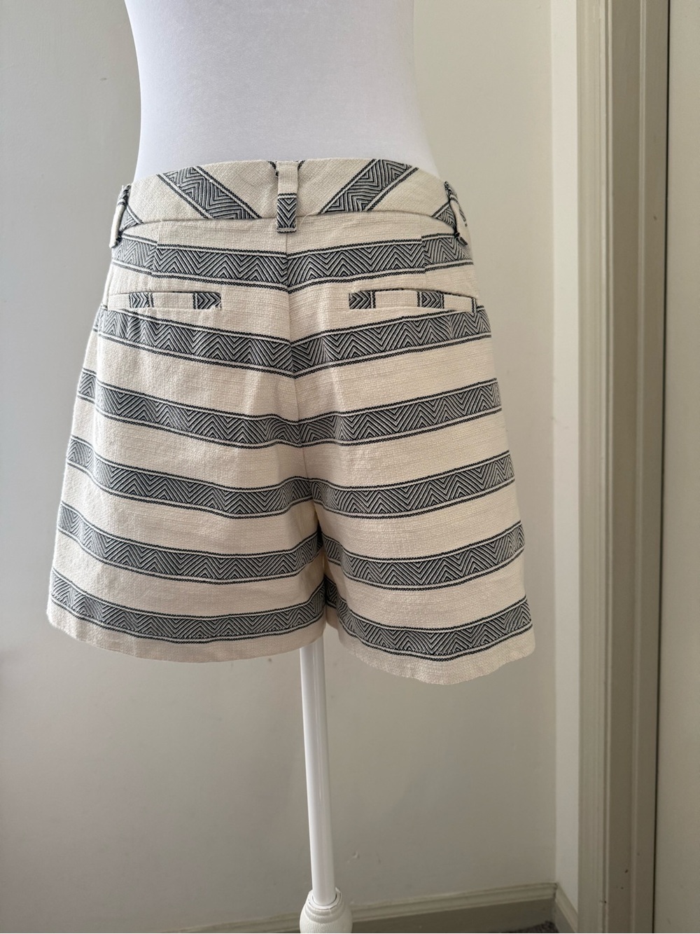 Striped Shorts - Picture 6 of 12